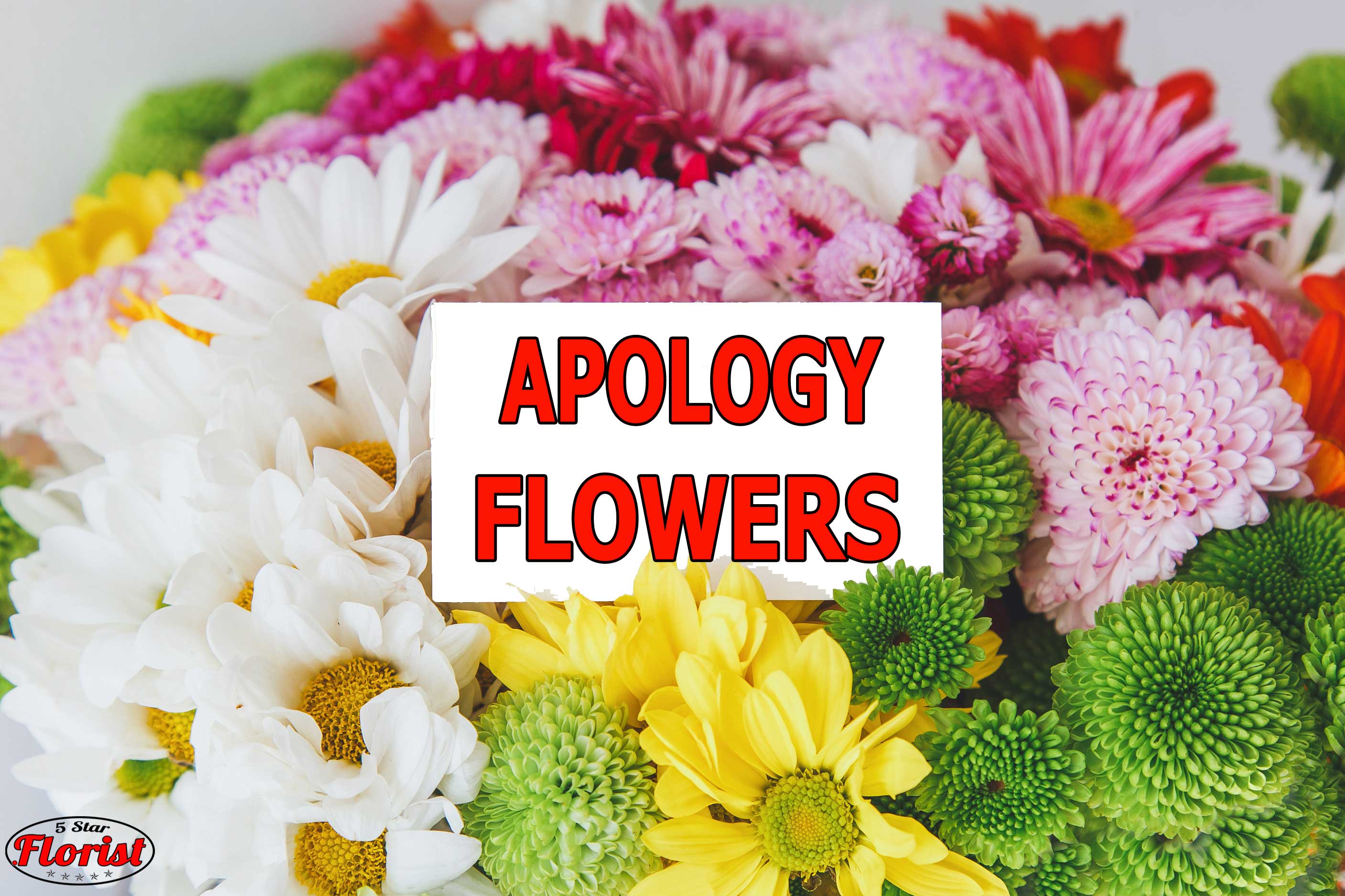 apology flowers El Dorado Hills