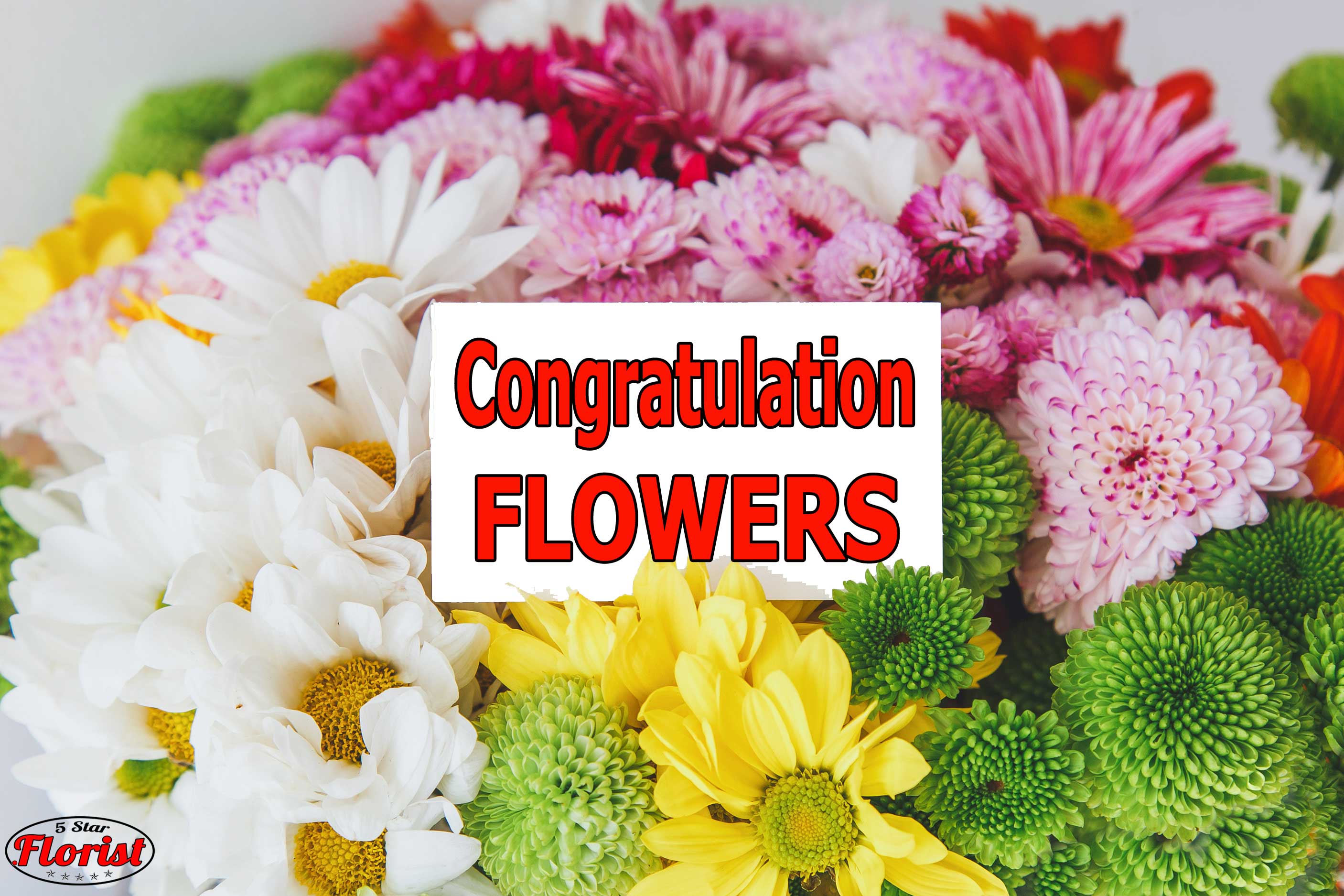 congratulations flowers El Dorado Hills