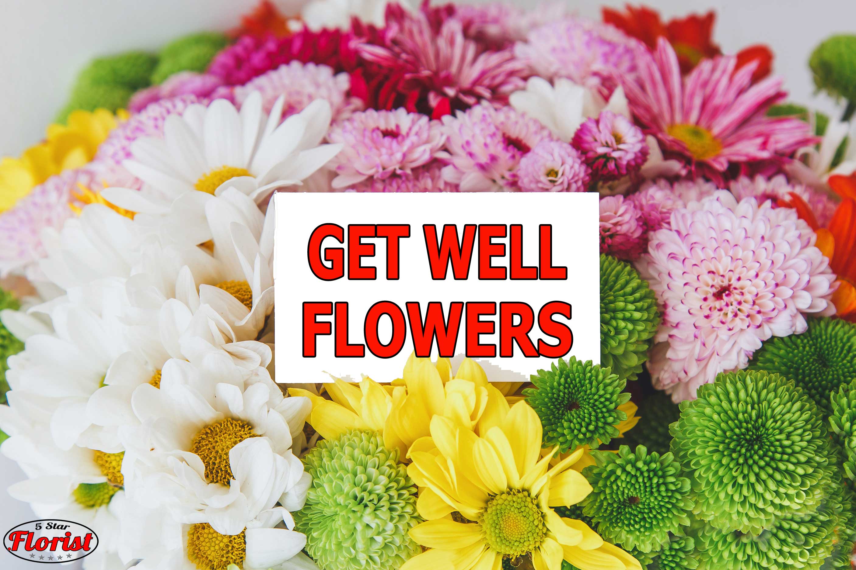 get-well-flowers El Dorado Hills