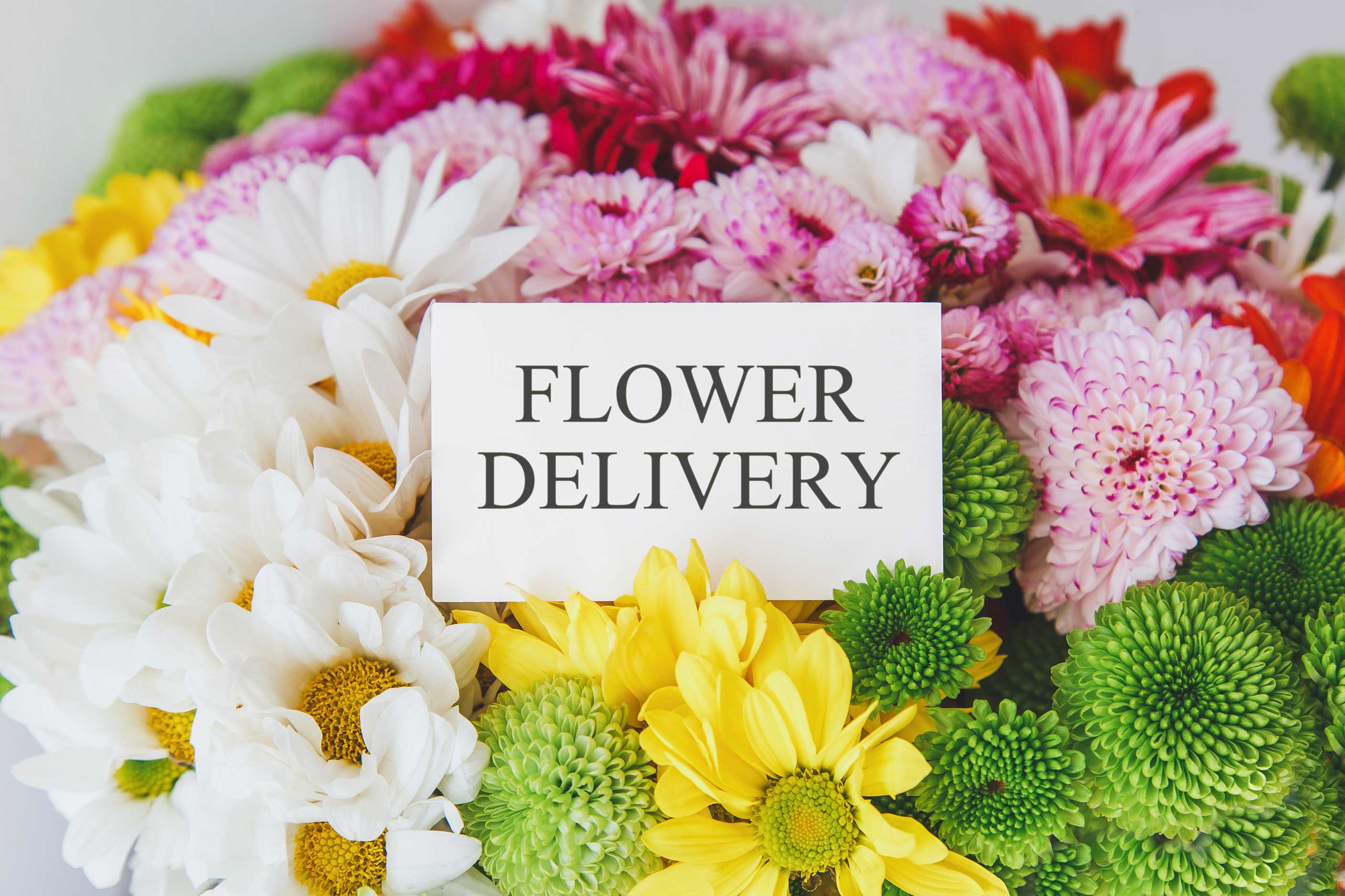 same-day-flower-delivery- El Dorado Hills